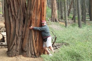 A California Tree Hugger!